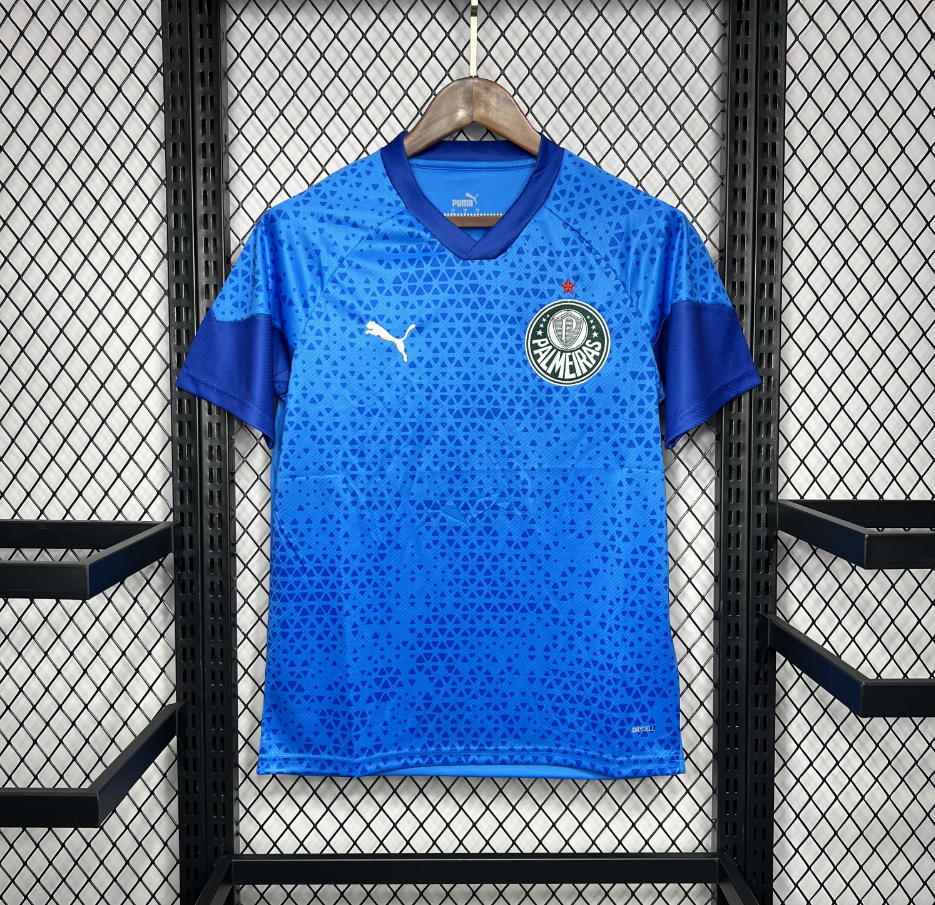 2024-2025 Palmeiras Club Blue Goalkeeper Jersey Fan version 1:1 China Quality
