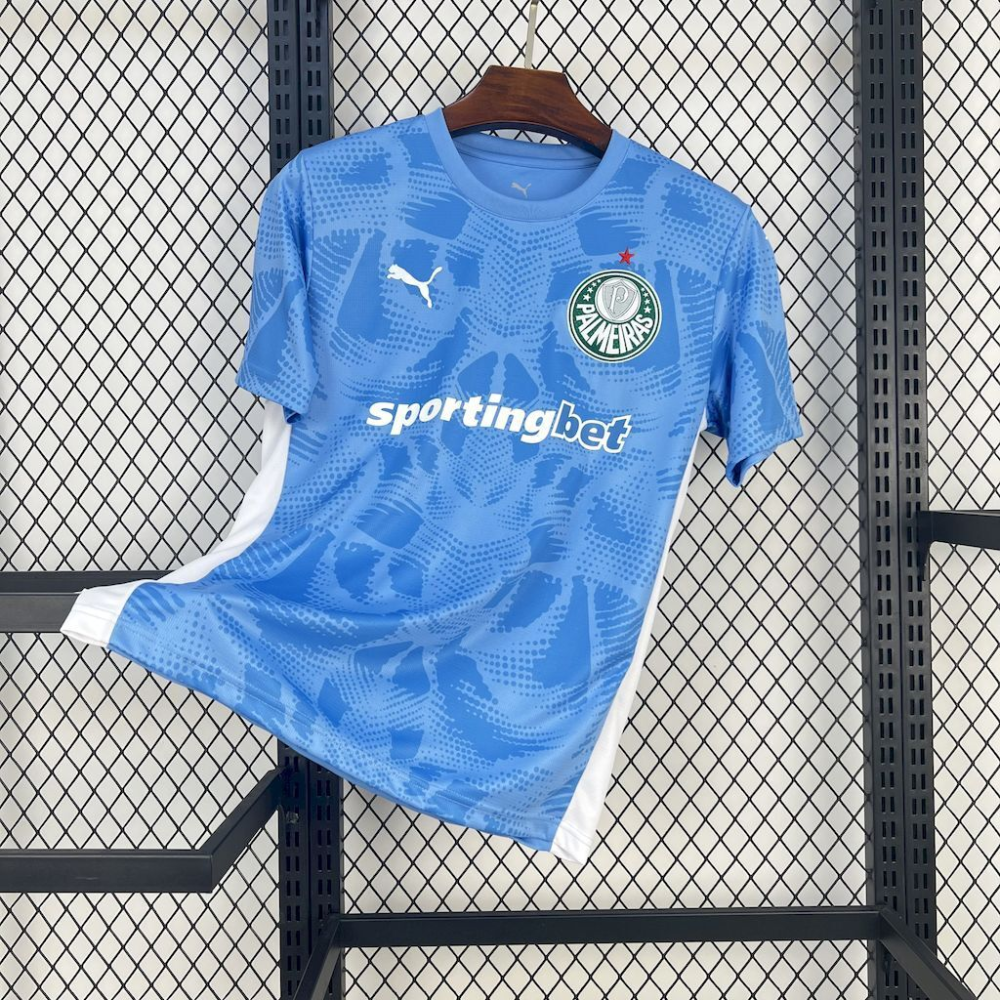 2025-2026 Palmeiras Club Goalkeeper Fan version 1:1 China Quality