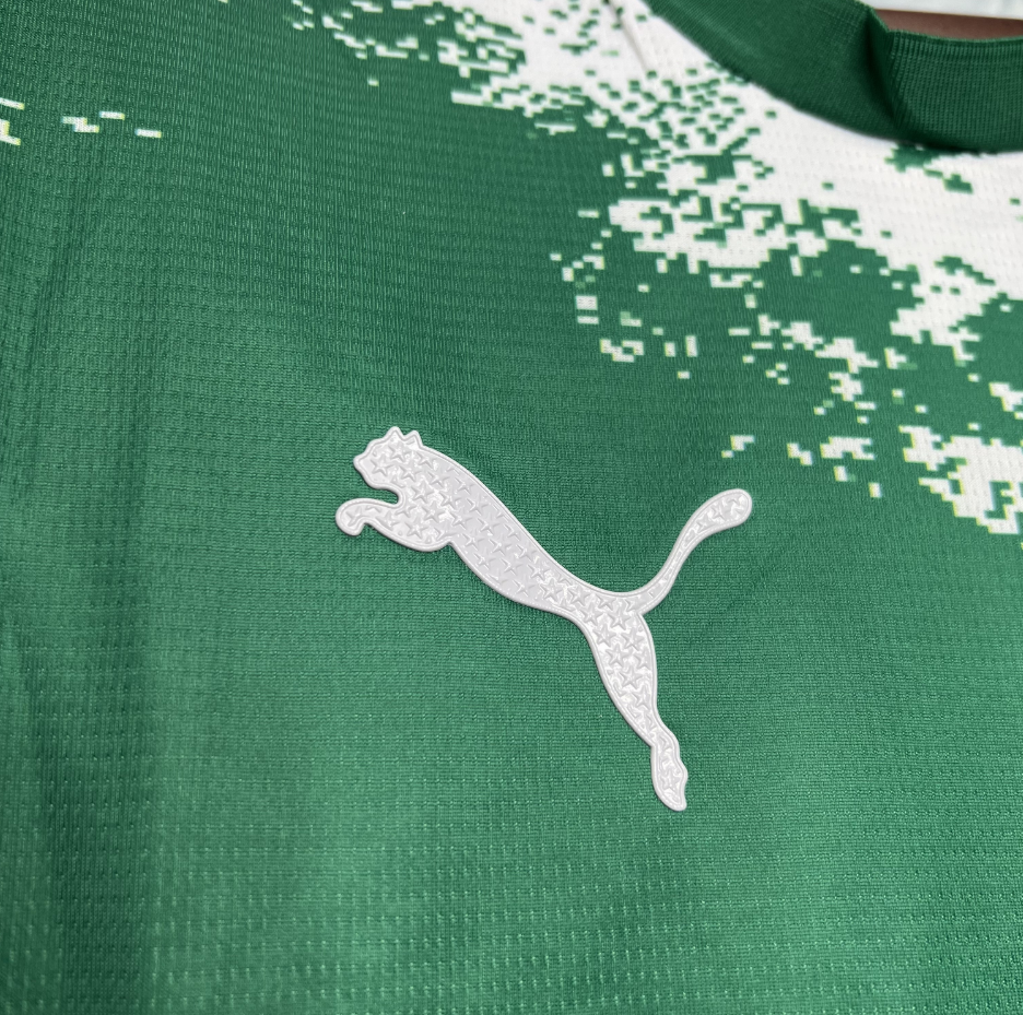 2024-2025 Palmeiras Club Special Edition Green and white Jersey Fan version 1:1 China Quality