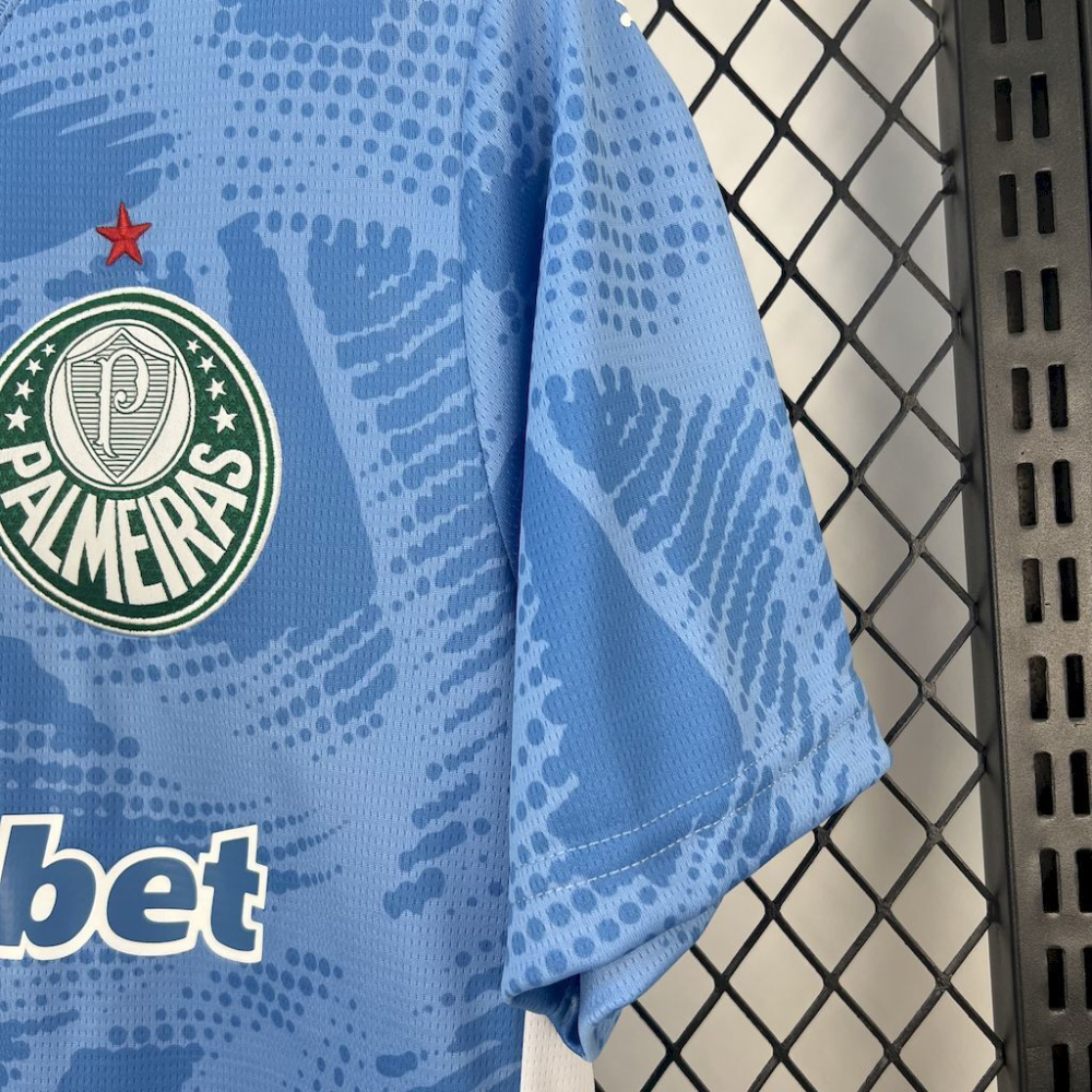 2025-2026 Palmeiras Club Goalkeeper Fan version 1:1 China Quality