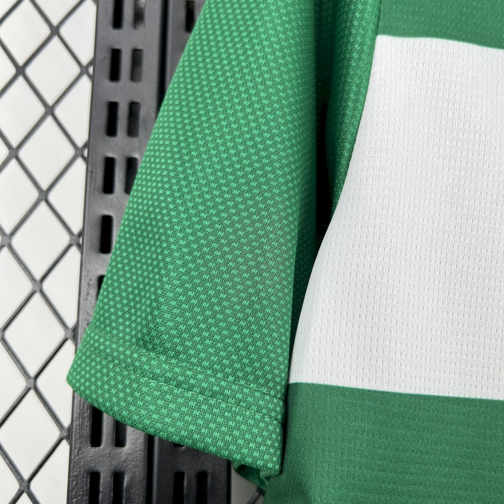2025-2026 Palmeiras Club Mens Special Jersey Fan version 1:1 China Quality