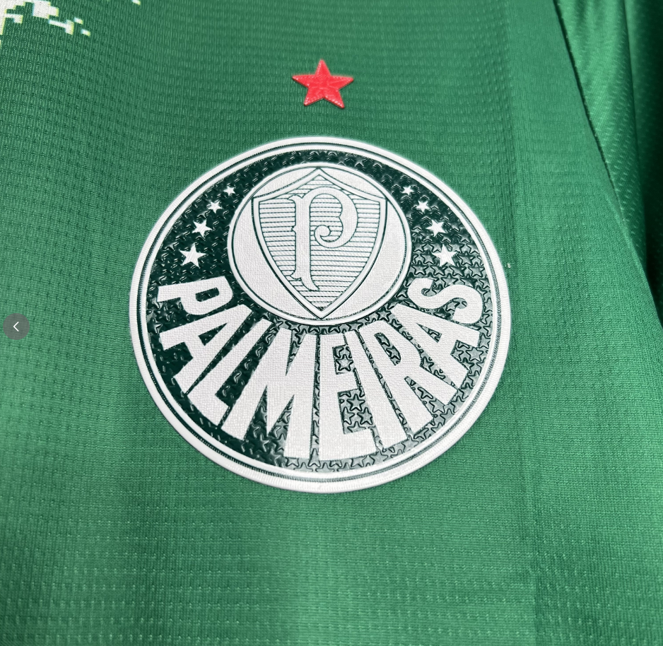 2024-2025 Palmeiras Club Special Edition Green and white Jersey Fan version 1:1 China Quality