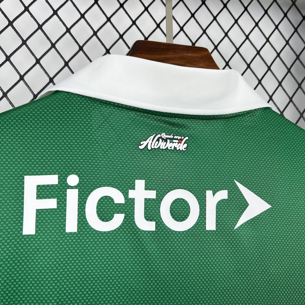 2025-2026 Palmeiras Club Mens Special Jersey Fan version 1:1 China Quality
