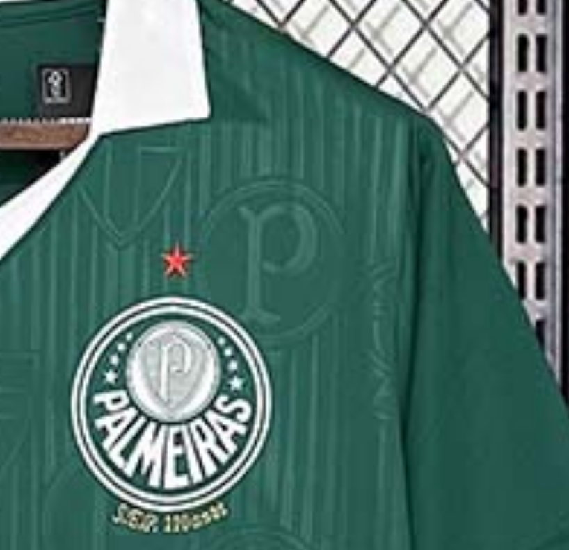 2024-2025 Palmeiras Club Home Football Shirt Fan version 1:1 China Quality
