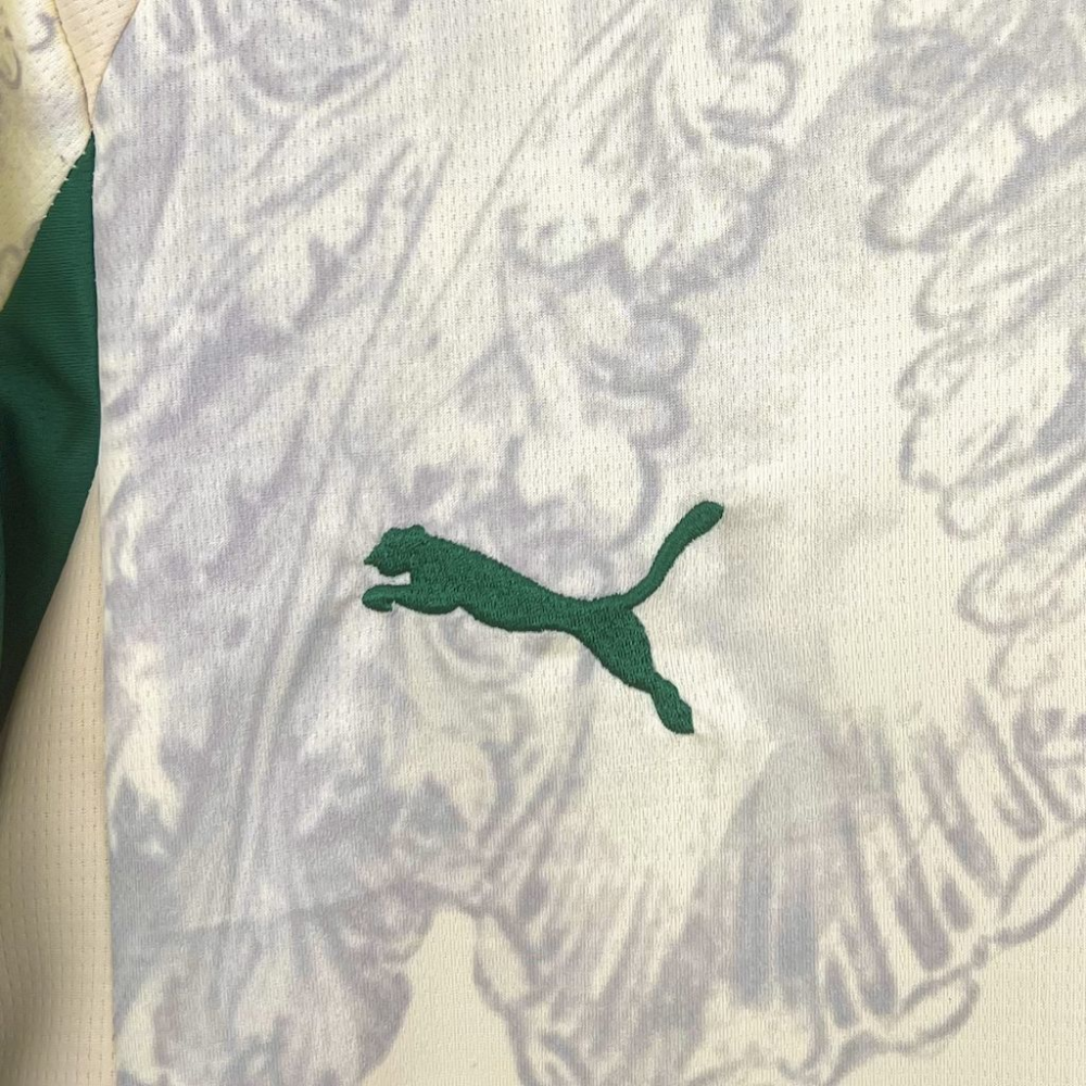 2025-2026 Palmeiras Club Mundial de Clubes Jersey Fan version 1:1 China Quality