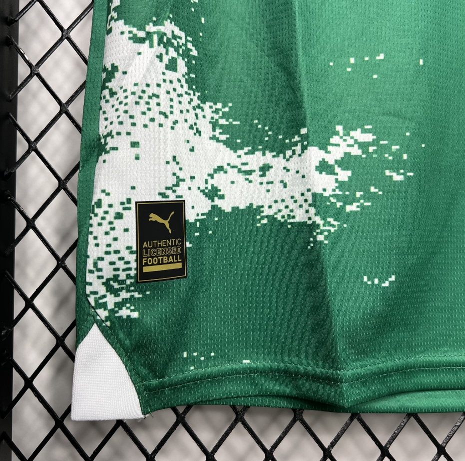 2024-2025 Palmeiras Club Special Edition Green and white Jersey Fan version 1:1 China Quality