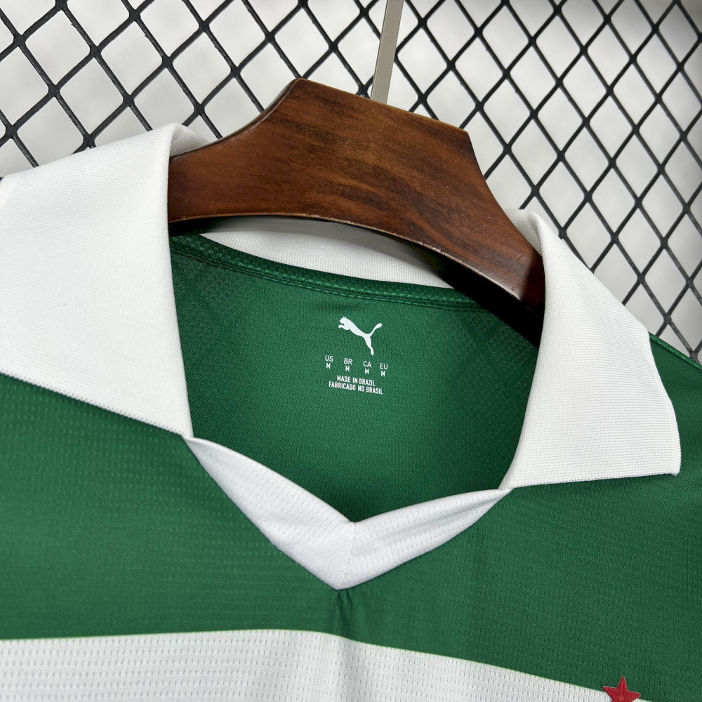 2025-2026 Palmeiras Club Mens Special Jersey Fan version 1:1 China Quality