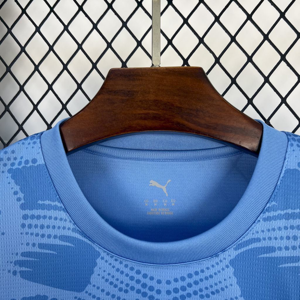 2025-2026 Palmeiras Club Goalkeeper Fan version 1:1 China Quality