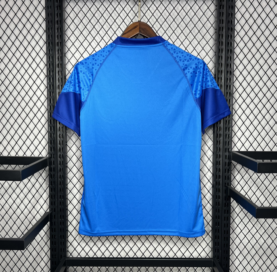 2024-2025 Palmeiras Club Blue Goalkeeper Jersey Fan version 1:1 China Quality