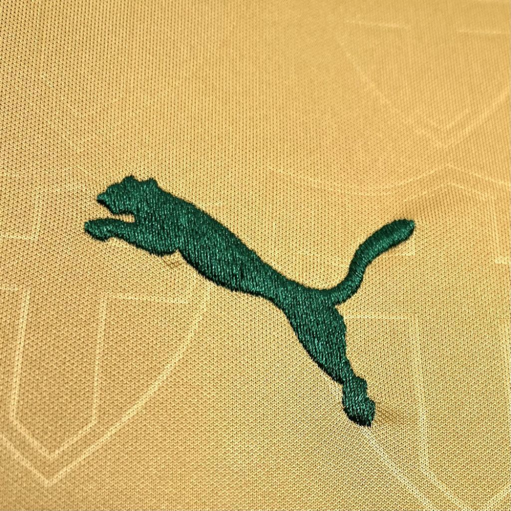 2024-2025 Palmeiras Club Thirds Away Jersey Fan version 1:1 China Quality