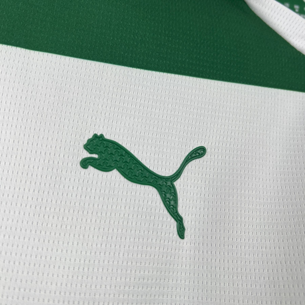 2025-2026 Palmeiras Club Mens Special Jersey Fan version 1:1 China Quality