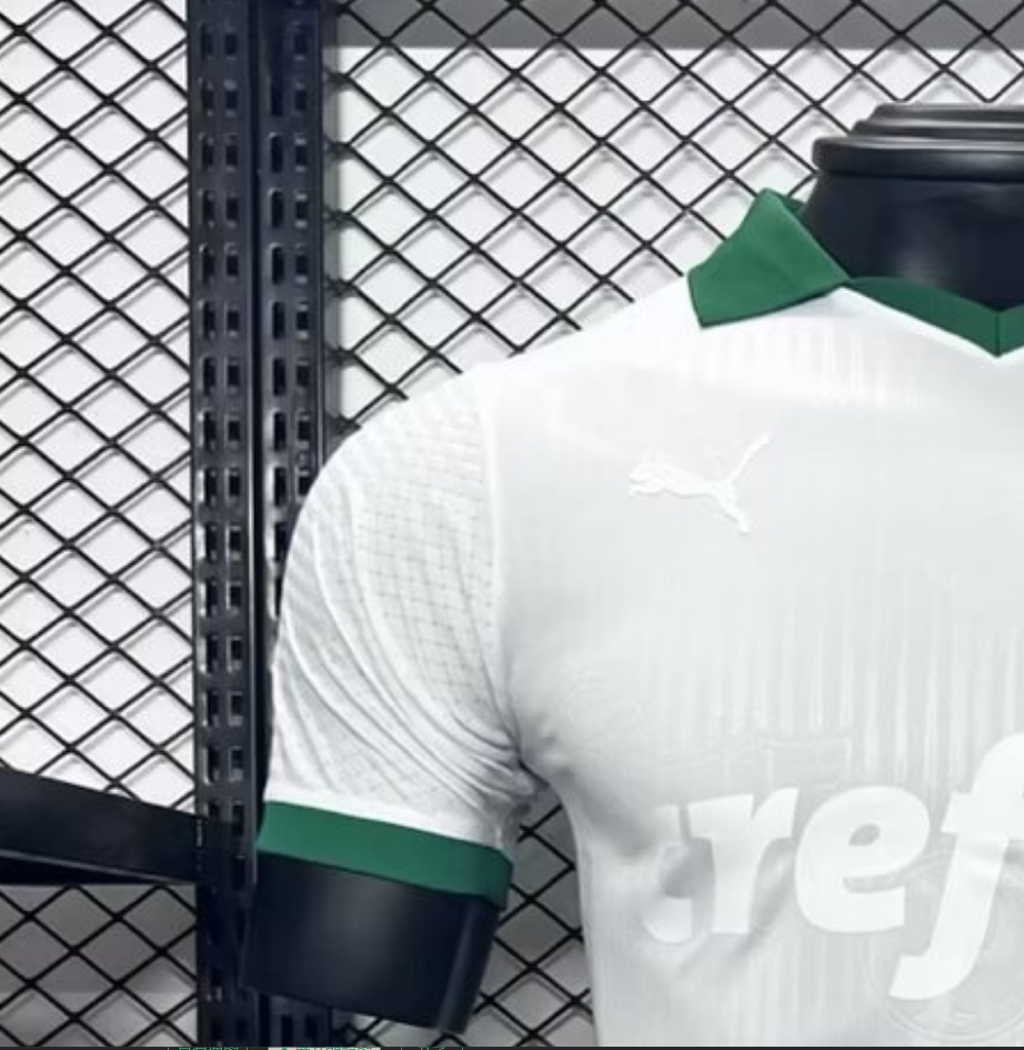 2024-2025 Palmeiras Club Special Edition Jersey Player Version 1:1 China Quality