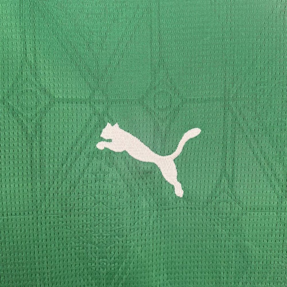 2025-2026 Palmeiras Club Womens Home Jersey Fan version 1:1 China Quality