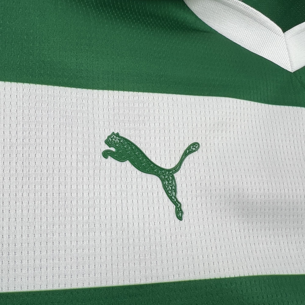 2025-2026 Palmeiras Club Womens Special Jersey Fan version 1:1 China Quality