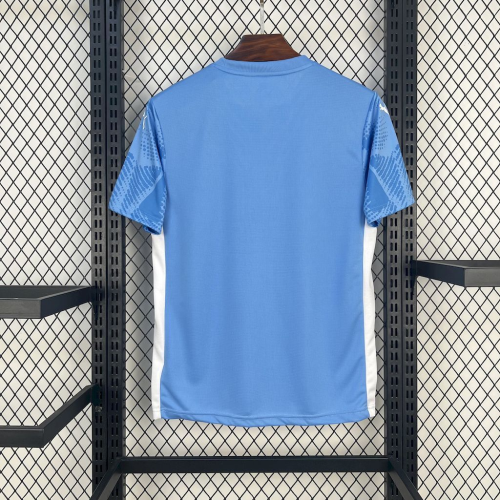 2025-2026 Palmeiras Club Goalkeeper Fan version 1:1 China Quality