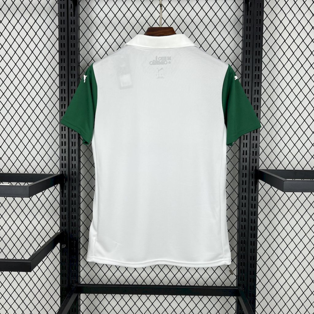 2025-2026 Palmeiras Club Away Jersey Fan version 1:1 China Quality