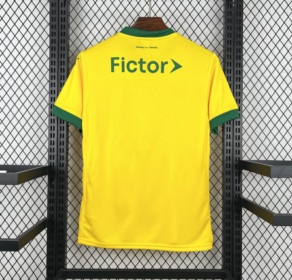 2025-2026 Palmeiras Club Mens Third Away Jersey Fan version 1:1 China Quality