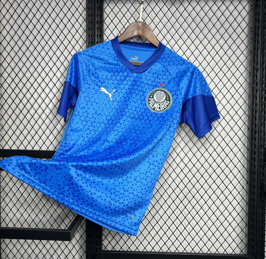 2024-2025 Palmeiras Club Blue Goalkeeper Jersey Fan version 1:1 China Quality