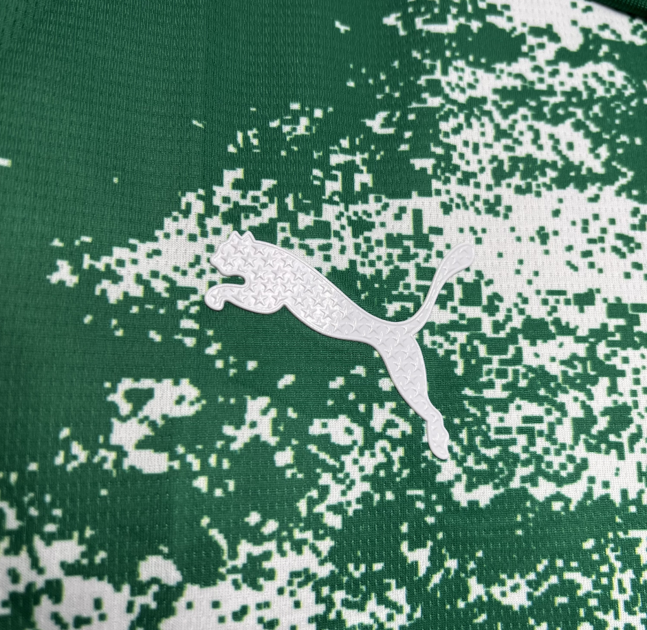 2024-2025 Palmeiras Club Special Edition White and green Jersey Fan version 1:1 China Quality