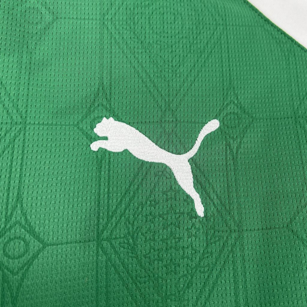 2025-2026 Palmeiras Club Home Jersey Fan version 1:1 China Quality