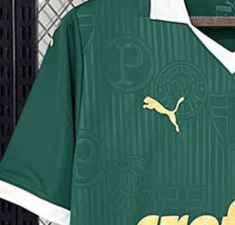 2024-2025 Palmeiras Club Home Football Shirt Fan version 1:1 China Quality