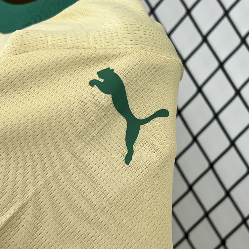 2024-2025 Palmeiras Club Third Kids Kit Jersey Fan version 1:1 China Quality