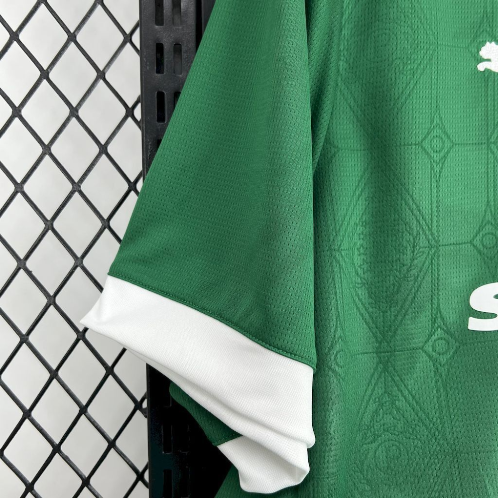 2025-2026 Palmeiras Club Home Jersey Fan version 1:1 China Quality