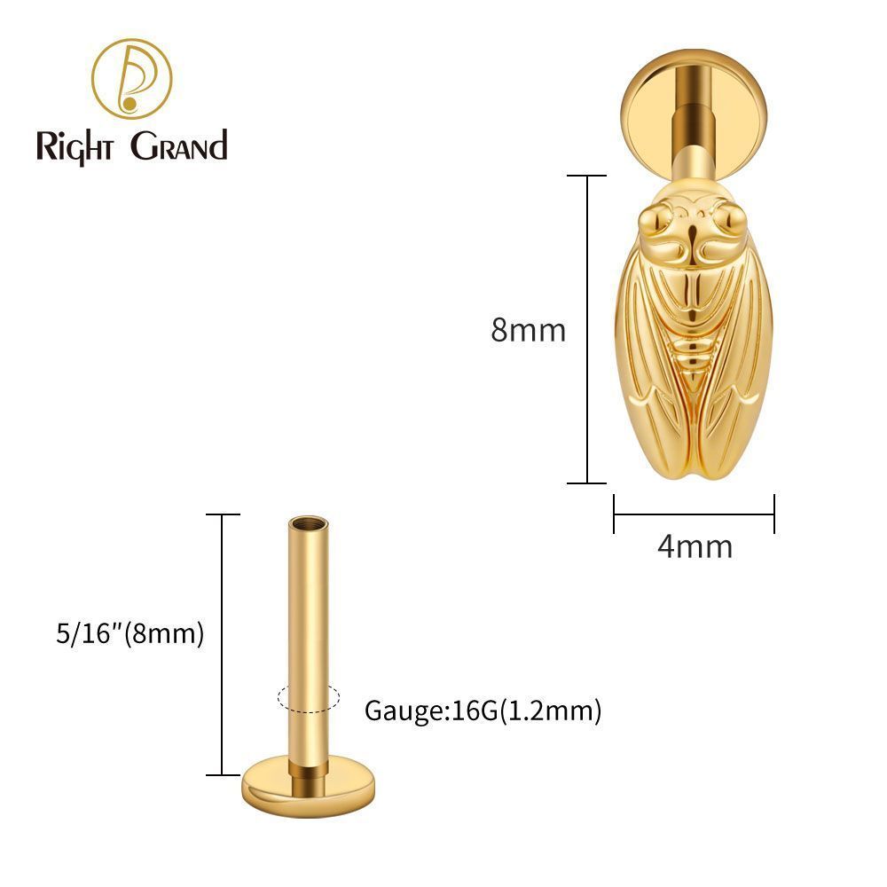 Right Grand Titanium Internal Thread Summer Cicada Labret Ring 16G Flat Back Cartilage Stud Earring Conch Helix Lip Piercing Jewelry