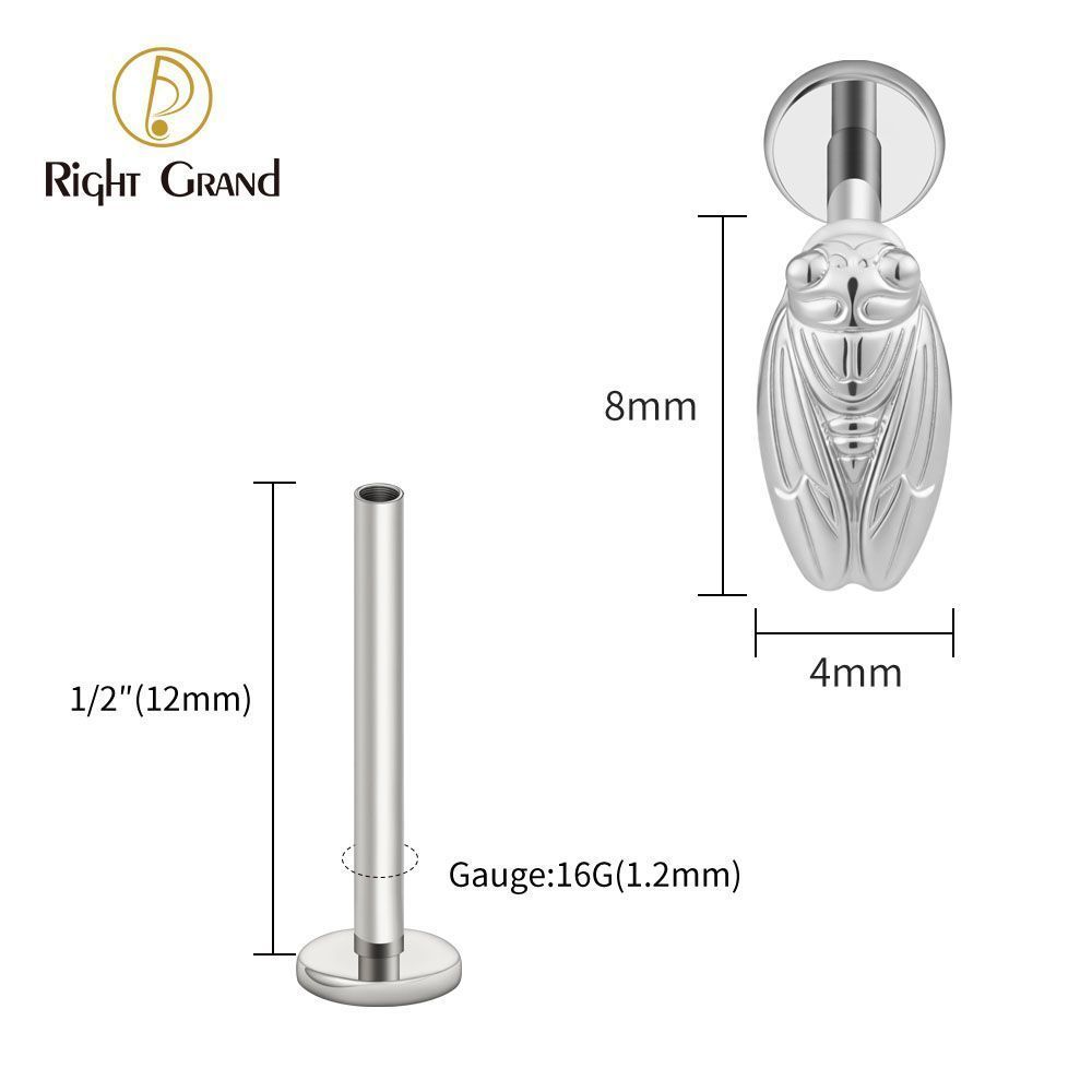 Right Grand Titanium Internal Thread Summer Cicada Labret Ring 16G Flat Back Cartilage Stud Earring Conch Helix Lip Piercing Jewelry