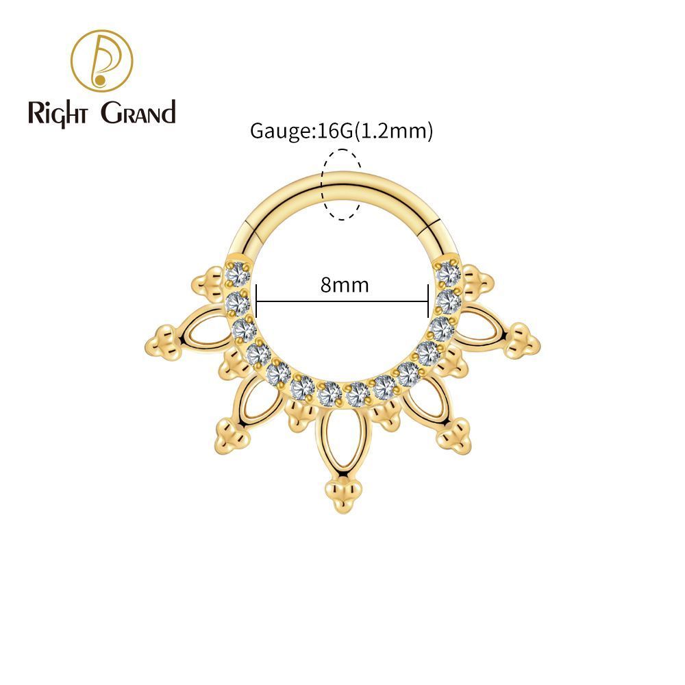 Right Grand Titanium 16G CZ Beads Sparkling Hinged Clicker Segment Hoop Ring Daith Earring Septem Nose Piercing
