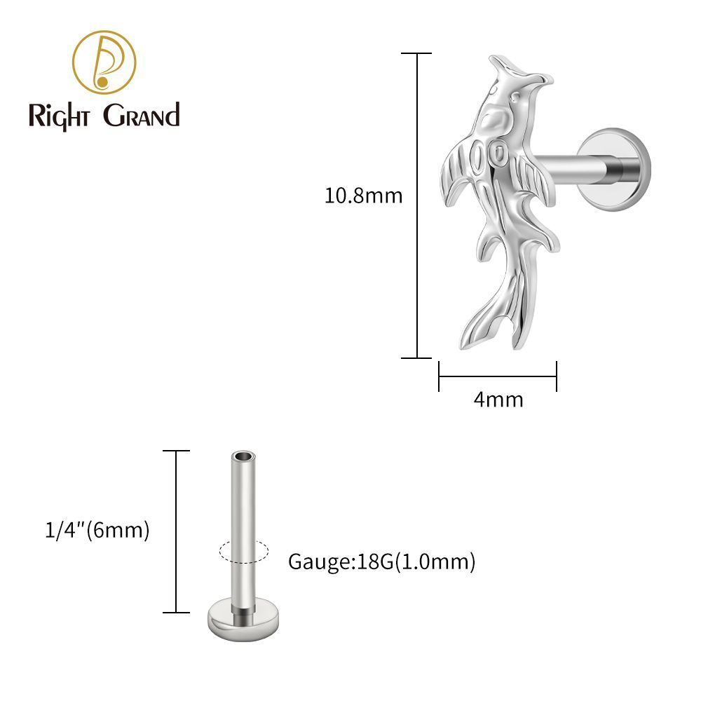 Right Grand Titanium 16G/18G Threadless Push Pin Koi Fish Cartilage Earring Tiny Tragus Stud Helix Conch Flatback Piercing 16G Animal Body Jewelry