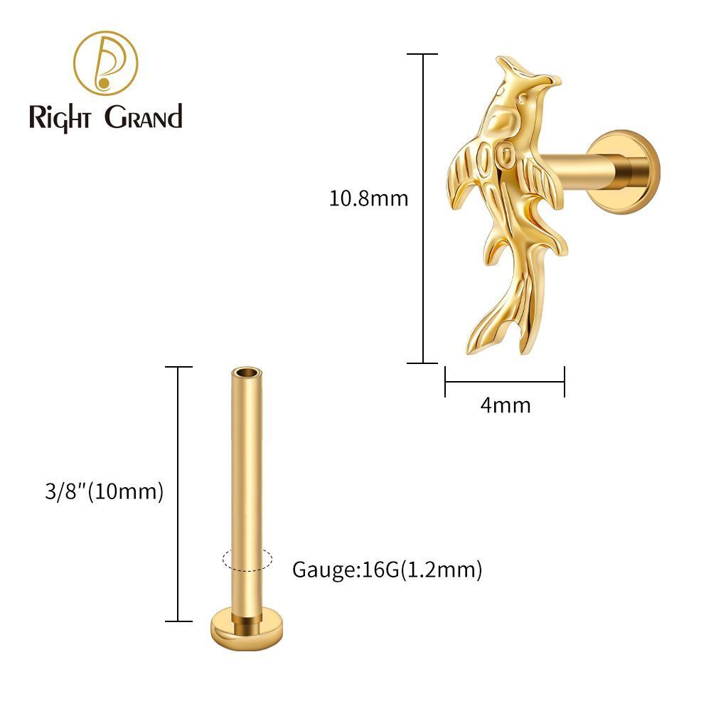 Right Grand Titanium 16G/18G Threadless Push Pin Koi Fish Cartilage Earring Tiny Tragus Stud Helix Conch Flatback Piercing 16G Animal Body Jewelry