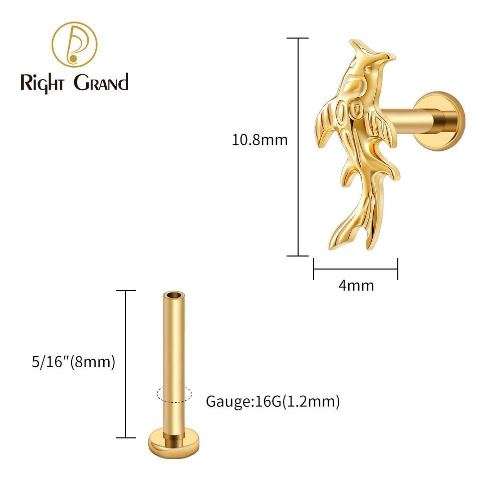 Right Grand Titanium 16G/18G Threadless Push Pin Koi Fish Cartilage Earring Tiny Tragus Stud Helix Conch Flatback Piercing 16G Animal Body Jewelry