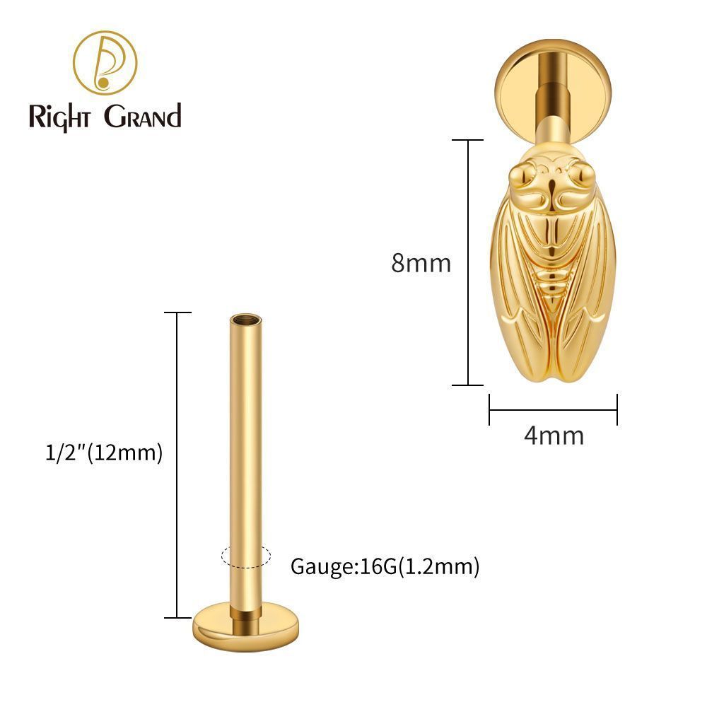 Right Grand Titanium Internal Thread Summer Cicada Labret Ring 16G Flat Back Cartilage Stud Earring Conch Helix Lip Piercing Jewelry