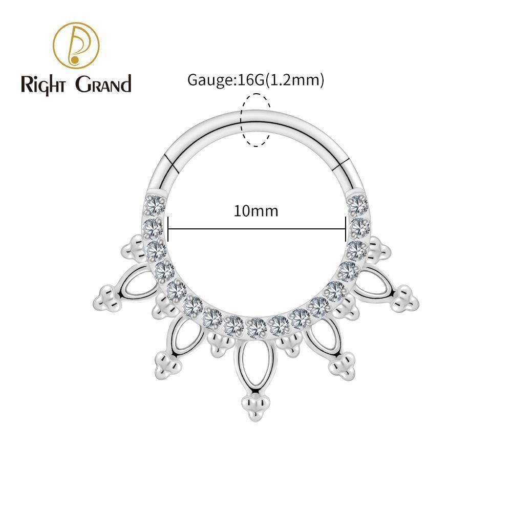Right Grand Titanium 16G CZ Beads Sparkling Hinged Clicker Segment Hoop Ring Daith Earring Septem Nose Piercing