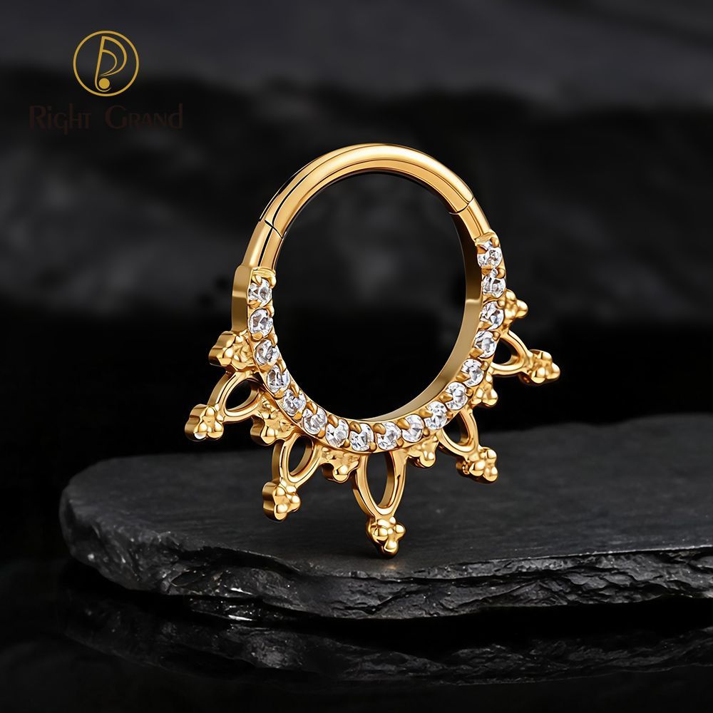Right Grand Titanium 16G CZ Beads Sparkling Hinged Clicker Segment Hoop Ring Daith Earring Septem Nose Piercing