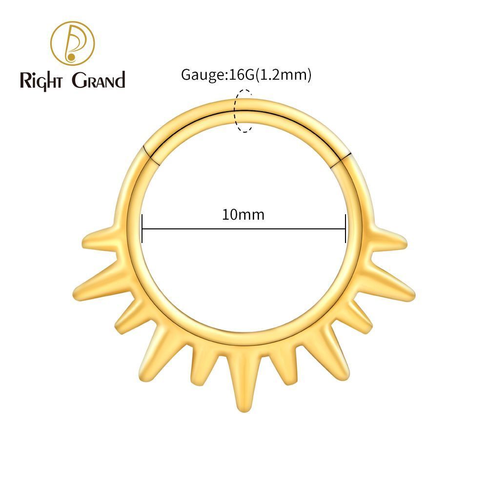 Right Grand ASTM F136 Titanium 16G Sunlight Hinged Clicker Segment Hoop Ring Daith Earring Septem Nose Piercing