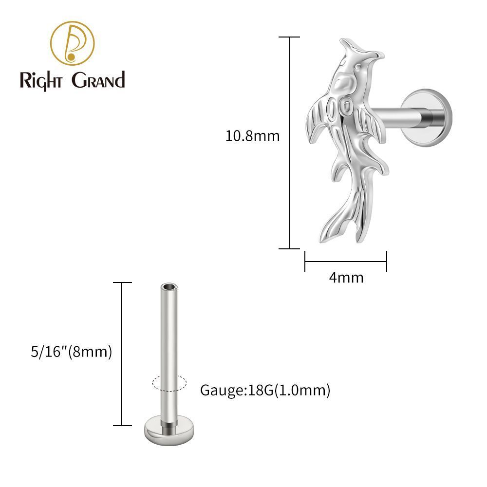 Right Grand Titanium 16G/18G Threadless Push Pin Koi Fish Cartilage Earring Tiny Tragus Stud Helix Conch Flatback Piercing 16G Animal Body Jewelry