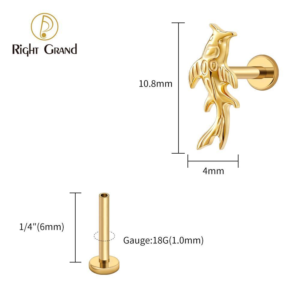 Right Grand Titanium 16G/18G Threadless Push Pin Koi Fish Cartilage Earring Tiny Tragus Stud Helix Conch Flatback Piercing 16G Animal Body Jewelry
