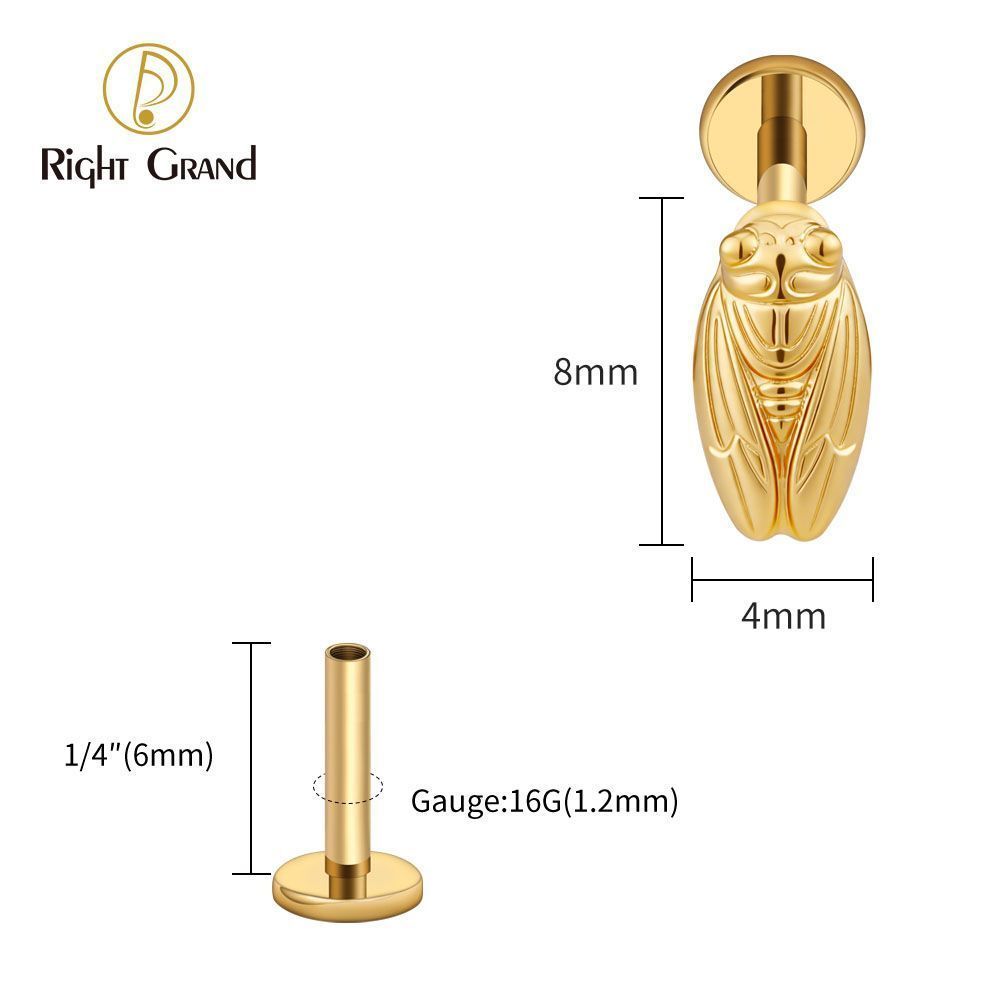 Right Grand Titanium Internal Thread Summer Cicada Labret Ring 16G Flat Back Cartilage Stud Earring Conch Helix Lip Piercing Jewelry