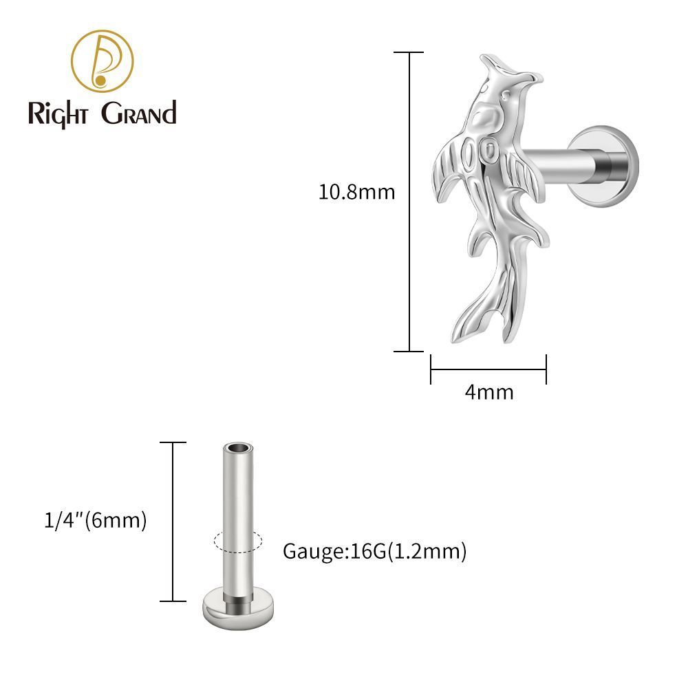 Right Grand Titanium 16G/18G Threadless Push Pin Koi Fish Cartilage Earring Tiny Tragus Stud Helix Conch Flatback Piercing 16G Animal Body Jewelry
