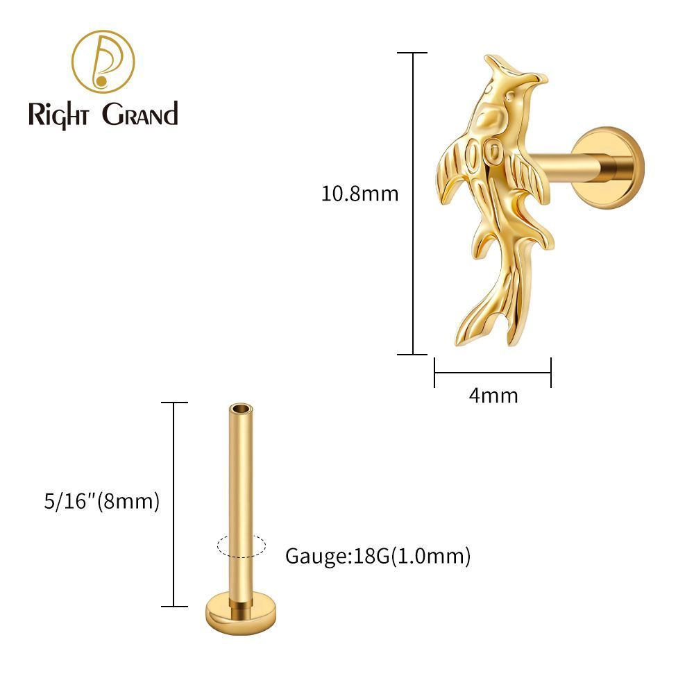 Right Grand Titanium 16G/18G Threadless Push Pin Koi Fish Cartilage Earring Tiny Tragus Stud Helix Conch Flatback Piercing 16G Animal Body Jewelry