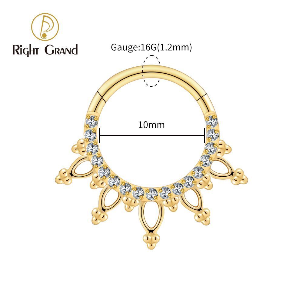 Right Grand Titanium 16G CZ Beads Sparkling Hinged Clicker Segment Hoop Ring Daith Earring Septem Nose Piercing