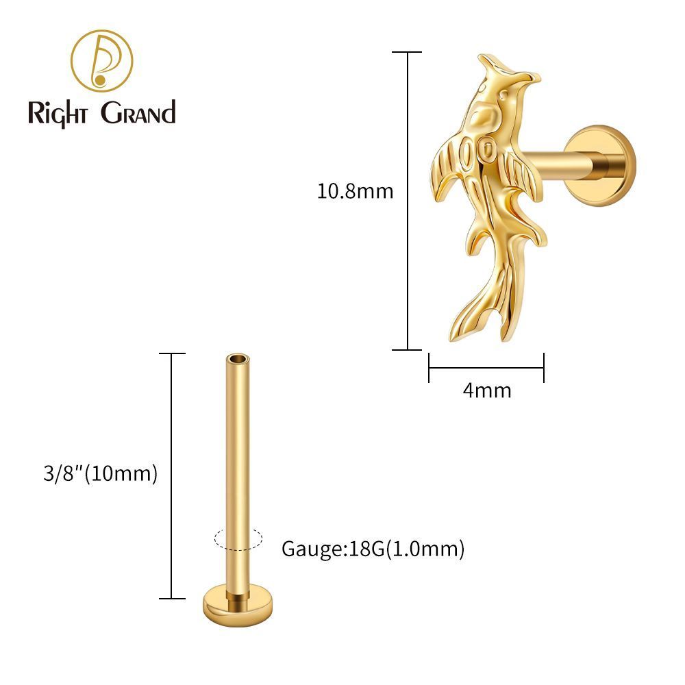 Right Grand Titanium 16G/18G Threadless Push Pin Koi Fish Cartilage Earring Tiny Tragus Stud Helix Conch Flatback Piercing 16G Animal Body Jewelry