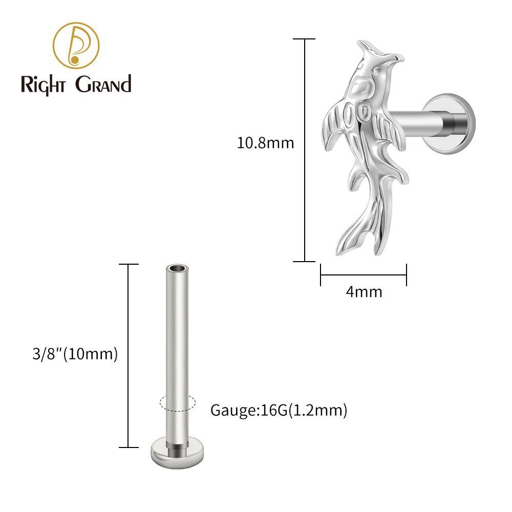 Right Grand Titanium 16G/18G Threadless Push Pin Koi Fish Cartilage Earring Tiny Tragus Stud Helix Conch Flatback Piercing 16G Animal Body Jewelry