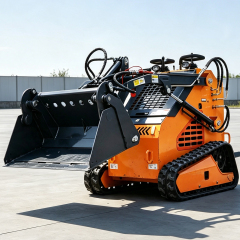 SKID-STEER LOADER-DS-S1900,MY SHOP,SKID-STEER LOADER-DS-S1900