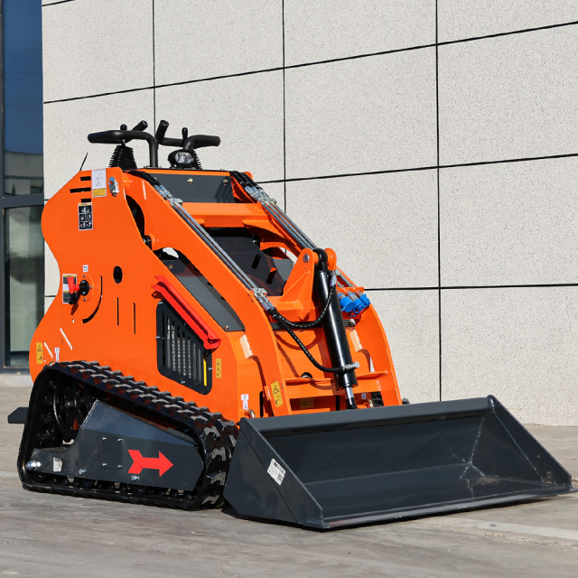 SKID-STEER LOADER-DS-S1600,MY SHOP,SKID-STEER LOADER-DS-S1600