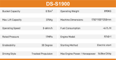 DS-S1900