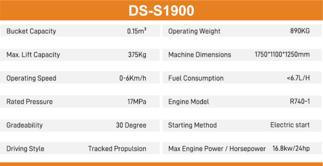 DS-S1900