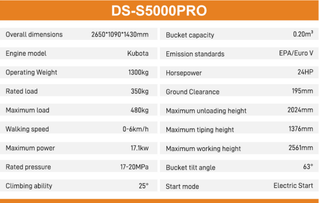 DS-V1300